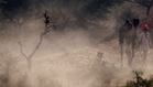 Indian Institute of Photography.com