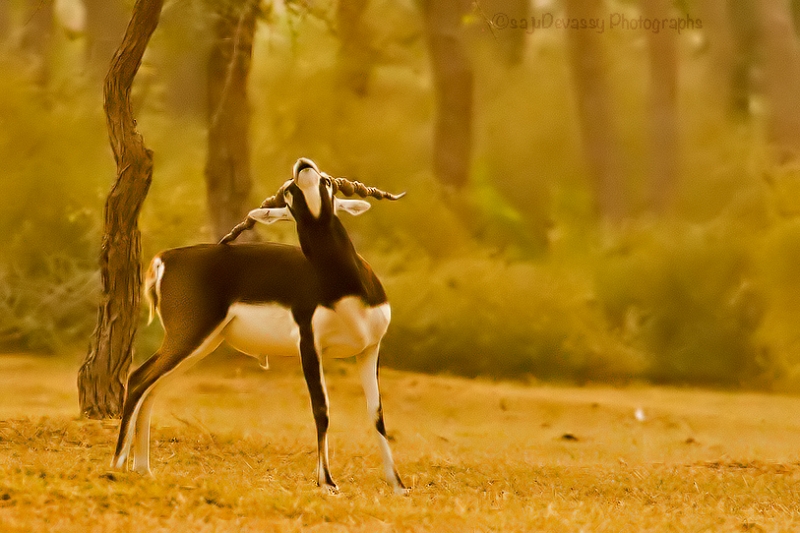 3-months-online-foundation-photography-course