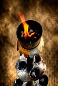 IIP Online Student Photography