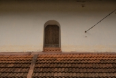 IIP Online Student Photography