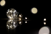 IIP Online Student Photography