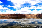 IIP Online Student Photography