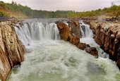 IIP Online Student Photography