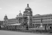 IIP Online Student Photography