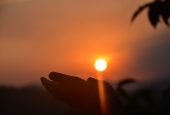 IIP Online Student Photography