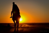 IIP Online Student Photography
