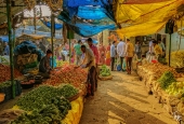 IIP Online Student Photography