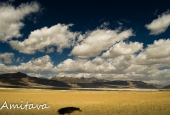 IIP Online Student Photography