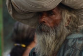 IIP Online Student Photography