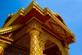 IIP Online Student Photography