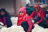 IIP Online Student Photography