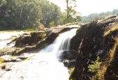 IIP Online Student Photography