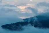 IIP Online Student Photography