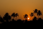 IIP Online Student Photography