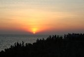 IIP Online Student Photography