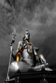 IIP Online Student Photography