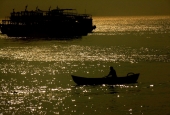 IIP Online Student Photography