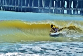 IIP Online Student Photography