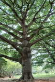 IIP Online Student Photography