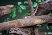 IIP Online Student Photography