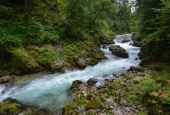 IIP Online Student Photography