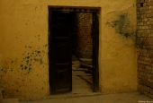 IIP Online Student Photography