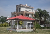 IIP Online Student Photography