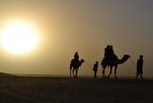 IIP Online Student Photography