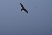 IIP Online Student Photography