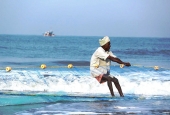 IIP Online Student Photography