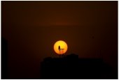 IIP Online Student Photography