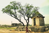 IIP Online Student Photography