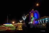 IIP Online Student Photography
