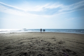 IIP Online Student Photography