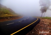 IIP Online Student Photography