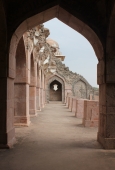 IIP Online Student Photography