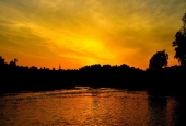 IIP Online Student Photography