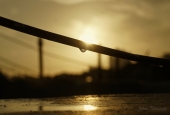 IIP Online Student Photography