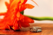 IIP Online Student Photography