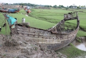 IIP Online Student Photography