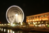 IIP Online Student Photography