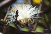 IIP Online Student Photography