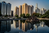 IIP Online Student Photography
