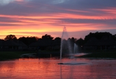 IIP Online Student Photography