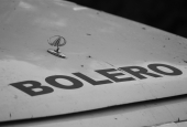 IIP Online Student Photography