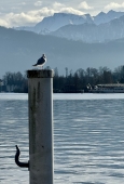 IIP Online Student Photography