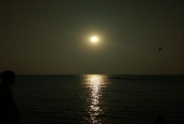 IIP Online Student Photography