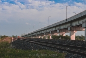 IIP Online Student Photography