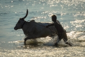 IIP Online Student Photography