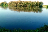 IIP Online Student Photography